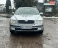 Сірий Шкода Октавія, об'ємом двигуна 2 л та пробігом 192 тис. км за 7199 $, фото 3 на Automoto.ua