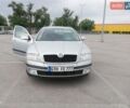 Серый Шкода Октавия, объемом двигателя 1.9 л и пробегом 254 тыс. км за 6500 $, фото 1 на Automoto.ua