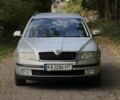 Серый Шкода Октавия, объемом двигателя 1.9 л и пробегом 240 тыс. км за 5900 $, фото 1 на Automoto.ua