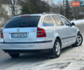 Серый Шкода Октавия, объемом двигателя 1.9 л и пробегом 271 тыс. км за 6000 $, фото 9 на Automoto.ua