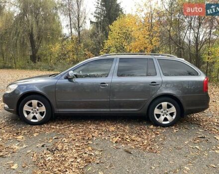 Шкода Октавія 2009 у Калуше на Automoto.ua Сірий Шкода Октавія, об'ємом двигуна 1.4 л та пробігом 200 тис. км за 7400 $, фото 2 на Automoto.ua