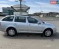 Серый Шкода Октавия, объемом двигателя 1.9 л и пробегом 262 тыс. км за 6200 $, фото 1 на Automoto.ua