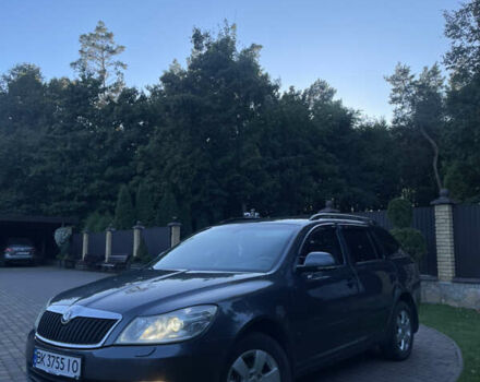 Серый Шкода Октавия, объемом двигателя 1.9 л и пробегом 326 тыс. км за 8200 $, фото 9 на Automoto.ua