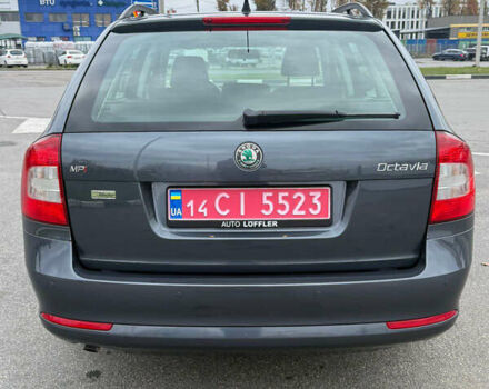 Сірий Шкода Октавія, об'ємом двигуна 1.6 л та пробігом 176 тис. км за 8999 $, фото 48 на Automoto.ua