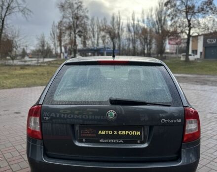 Серый Шкода Октавия, объемом двигателя 1.4 л и пробегом 172 тыс. км за 7600 $, фото 5 на Automoto.ua