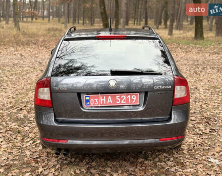Серый Шкода Октавия, объемом двигателя 1.8 л и пробегом 220 тыс. км за 8200 $, фото 11 на Automoto.ua