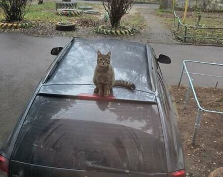 Сірий Шкода Октавія, об'ємом двигуна 1.6 л та пробігом 217 тис. км за 6300 $, фото 2 на Automoto.ua