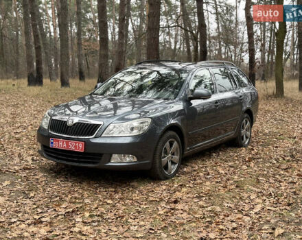 Серый Шкода Октавия, объемом двигателя 1.8 л и пробегом 220 тыс. км за 8200 $, фото 1 на Automoto.ua