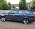 Серый Шкода Октавия, объемом двигателя 1.6 л и пробегом 268 тыс. км за 7799 $, фото 13 на Automoto.ua