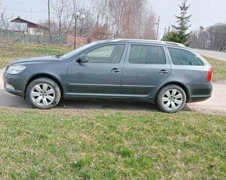 Серый Шкода Октавия, объемом двигателя 1.6 л и пробегом 190 тыс. км за 7600 $, фото 2 на Automoto.ua