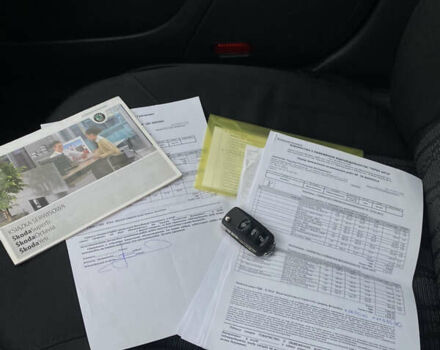 Серый Шкода Октавия, объемом двигателя 2 л и пробегом 259 тыс. км за 7200 $, фото 24 на Automoto.ua