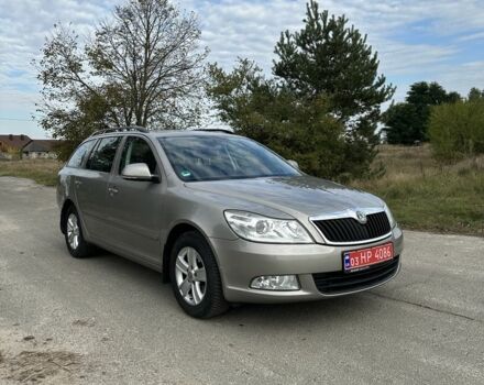 Сірий Шкода Октавія, об'ємом двигуна 1.4 л та пробігом 259 тис. км за 6999 $, фото 1 на Automoto.ua