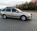 Серый Шкода Октавия, объемом двигателя 1.9 л и пробегом 290 тыс. км за 7000 $, фото 8 на Automoto.ua