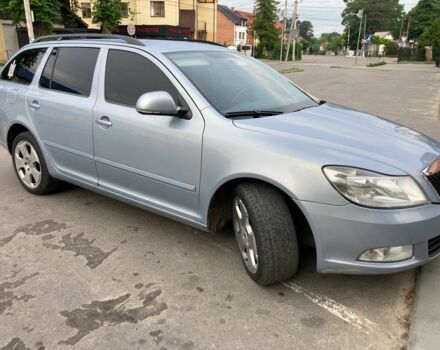 Серый Шкода Октавия, объемом двигателя 1.2 л и пробегом 250 тыс. км за 4270 $, фото 5 на Automoto.ua