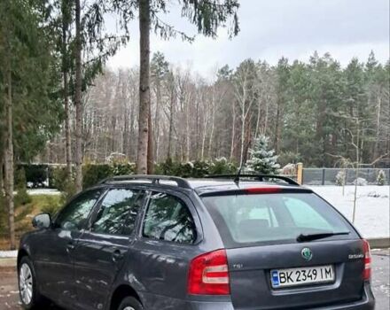 Серый Шкода Октавия, объемом двигателя 1.4 л и пробегом 201 тыс. км за 7500 $, фото 5 на Automoto.ua