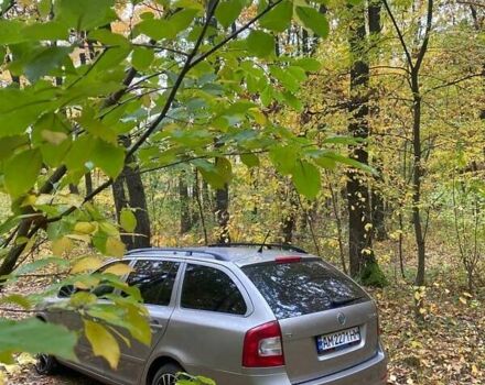 Серый Шкода Октавия, объемом двигателя 1.6 л и пробегом 221 тыс. км за 7300 $, фото 7 на Automoto.ua