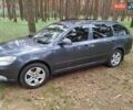 Серый Шкода Октавия, объемом двигателя 1.6 л и пробегом 295 тыс. км за 8500 $, фото 25 на Automoto.ua