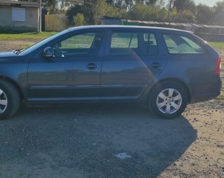 Серый Шкода Октавия, объемом двигателя 0 л и пробегом 262 тыс. км за 6999 $, фото 3 на Automoto.ua