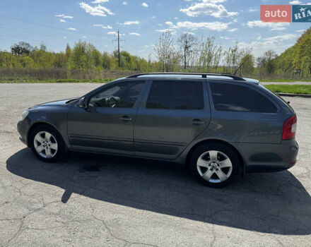 Серый Шкода Октавия, объемом двигателя 1.6 л и пробегом 259 тыс. км за 8800 $, фото 25 на Automoto.ua