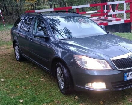 Серый Шкода Октавия, объемом двигателя 1.4 л и пробегом 227 тыс. км за 7800 $, фото 2 на Automoto.ua