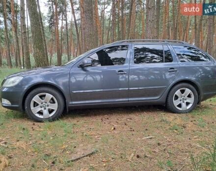 Серый Шкода Октавия, объемом двигателя 1.6 л и пробегом 295 тыс. км за 8500 $, фото 24 на Automoto.ua