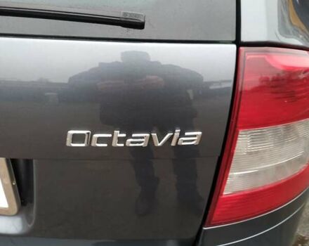 Серый Шкода Октавия, объемом двигателя 1.2 л и пробегом 239 тыс. км за 6000 $, фото 14 на Automoto.ua
