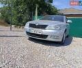 Серый Шкода Октавия, объемом двигателя 1.97 л и пробегом 290 тыс. км за 7800 $, фото 1 на Automoto.ua