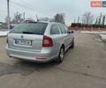 Сірий Шкода Октавія, об'ємом двигуна 1.97 л та пробігом 258 тис. км за 9400 $, фото 8 на Automoto.ua