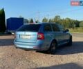 Сірий Шкода Октавія, об'ємом двигуна 1.99 л та пробігом 296 тис. км за 8000 $, фото 19 на Automoto.ua