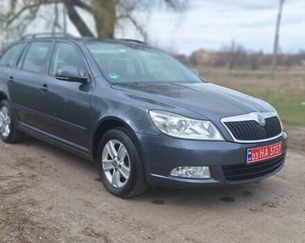 Серый Шкода Октавия, объемом двигателя 1.6 л и пробегом 260 тыс. км за 9300 $, фото 12 на Automoto.ua