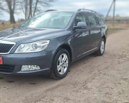 Серый Шкода Октавия, объемом двигателя 1.6 л и пробегом 260 тыс. км за 9300 $, фото 14 на Automoto.ua