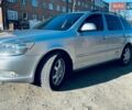 Серый Шкода Октавия, объемом двигателя 1.6 л и пробегом 248 тыс. км за 7500 $, фото 1 на Automoto.ua