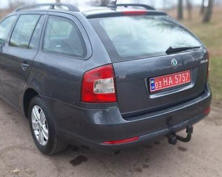 Серый Шкода Октавия, объемом двигателя 1.6 л и пробегом 260 тыс. км за 9300 $, фото 6 на Automoto.ua