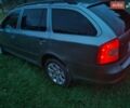 Серый Шкода Октавия, объемом двигателя 1.99 л и пробегом 260 тыс. км за 6999 $, фото 14 на Automoto.ua