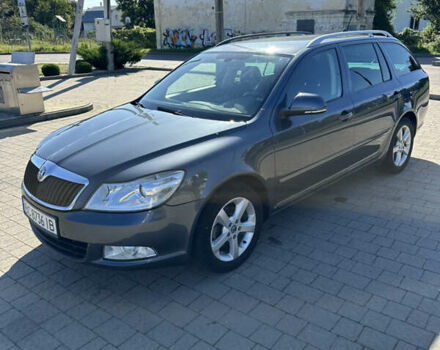 Серый Шкода Октавия, объемом двигателя 1.97 л и пробегом 321 тыс. км за 9500 $, фото 19 на Automoto.ua