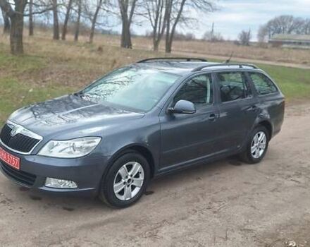 Серый Шкода Октавия, объемом двигателя 1.6 л и пробегом 260 тыс. км за 9300 $, фото 15 на Automoto.ua