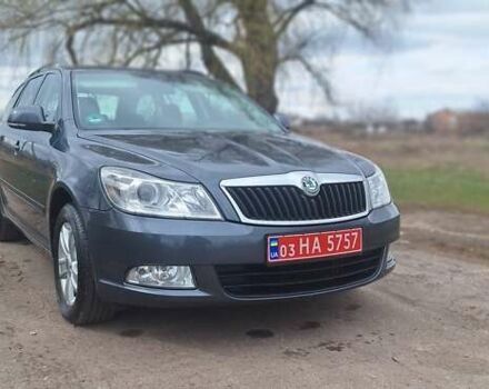Серый Шкода Октавия, объемом двигателя 1.6 л и пробегом 260 тыс. км за 9300 $, фото 13 на Automoto.ua