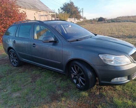 Серый Шкода Октавия, объемом двигателя 1.4 л и пробегом 235 тыс. км за 6200 $, фото 1 на Automoto.ua