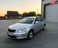 Серый Шкода Октавия, объемом двигателя 1.6 л и пробегом 237 тыс. км за 8500 $, фото 1 на Automoto.ua