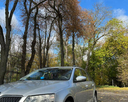 Шкода Октавия 2013 в Тернополе на Automoto.ua Серый Шкода Октавия, объемом двигателя 1.6 л и пробегом 298 тыс. км за 9150 $, фото 13 на Automoto.ua