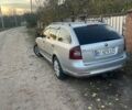 Серый Шкода Октавия, объемом двигателя 1.6 л и пробегом 203 тыс. км за 9500 $, фото 3 на Automoto.ua
