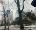 Серый Шкода Октавия, объемом двигателя 1.6 л и пробегом 370 тыс. км за 9500 $, фото 14 на Automoto.ua