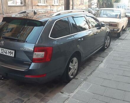 Шкода Октавия 2014 в Львове на Automoto.ua Серый Шкода Октавия, объемом двигателя 1.6 л и пробегом 294 тыс. км за 11499 $, фото 27 на Automoto.ua