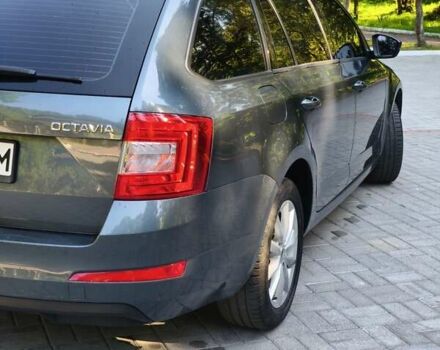 Шкода Октавия 2014 в Дрогобыче на Automoto.ua Серый Шкода Октавия, объемом двигателя 1.6 л и пробегом 360 тыс. км за 9199 $, фото 18 на Automoto.ua