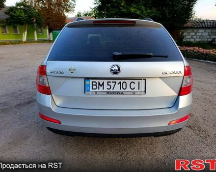 Серый Шкода Октавия, объемом двигателя 1.6 л и пробегом 350 тыс. км за 8999 $, фото 3 на Automoto.ua