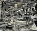Шкода Октавия 2015 в Стрые на Automoto.ua Серый Шкода Октавия, объемом двигателя 1.97 л и пробегом 232 тыс. км за 13350 $, фото 134 на Automoto.ua