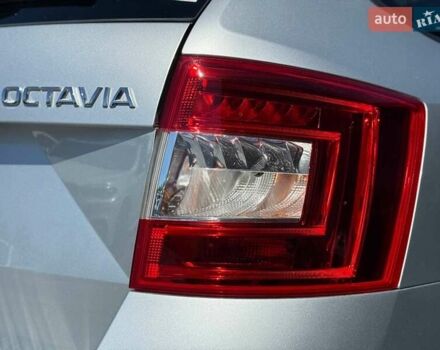 Шкода Октавия 2016 в Ровно на Automoto.ua Серый Шкода Октавия, объемом двигателя 2 л и пробегом 231 тыс. км за 15599 $, фото 9 на Automoto.ua