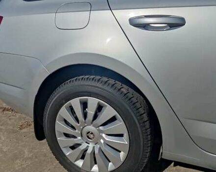 Шкода Октавия 2017 в Лохвице на Automoto.ua Серый Шкода Октавия, объемом двигателя 1.6 л и пробегом 202 тыс. км за 13500 $, фото 10 на Automoto.ua