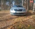 Сірий Шкода Октавія, об'ємом двигуна 1.97 л та пробігом 303 тис. км за 16450 $, фото 9 на Automoto.ua