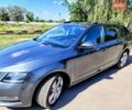 Сірий Шкода Октавія, об'ємом двигуна 1.97 л та пробігом 216 тис. км за 16300 $, фото 1 на Automoto.ua